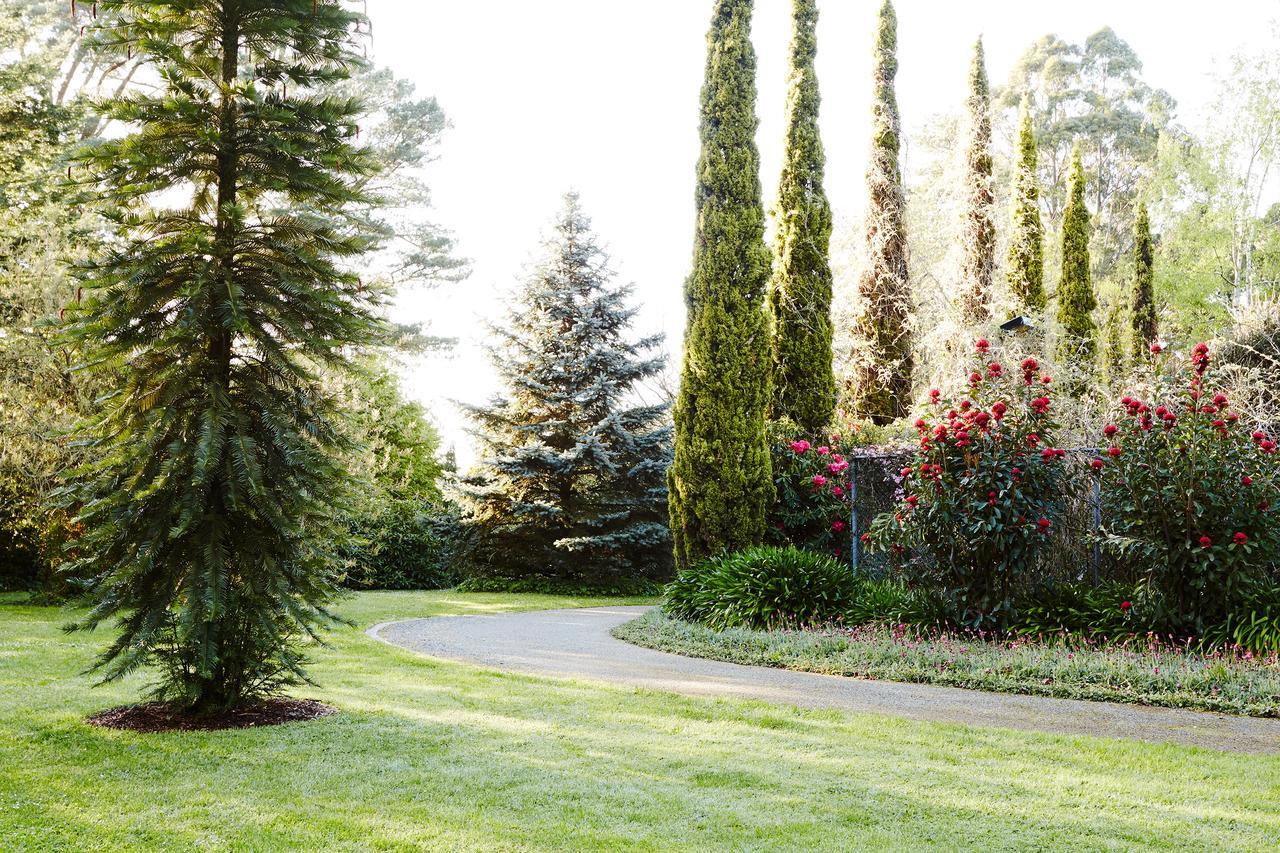 Beechmont Garden Retreat Guest House Olinda Exterior photo