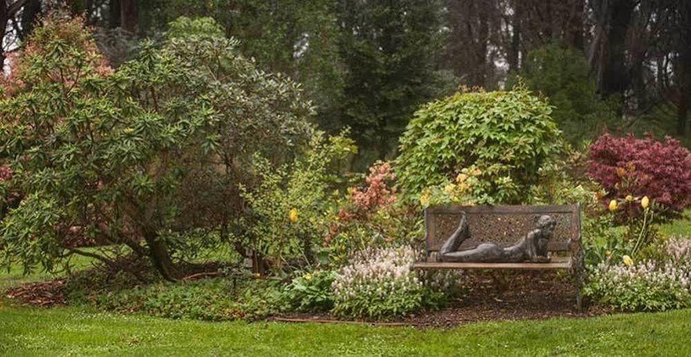 Beechmont Garden Retreat Guest House Olinda Exterior photo